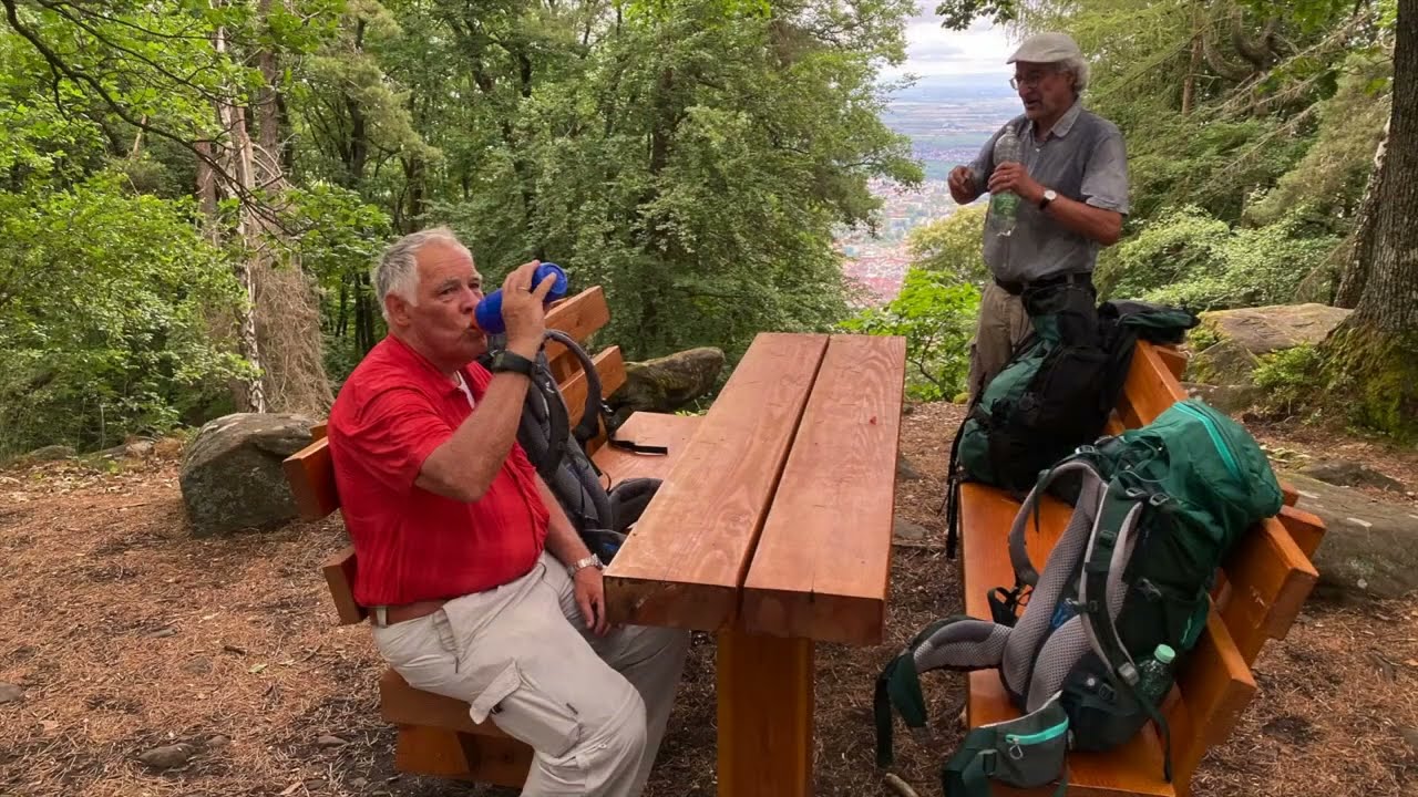 Wanderung über die Berge der Pfalz