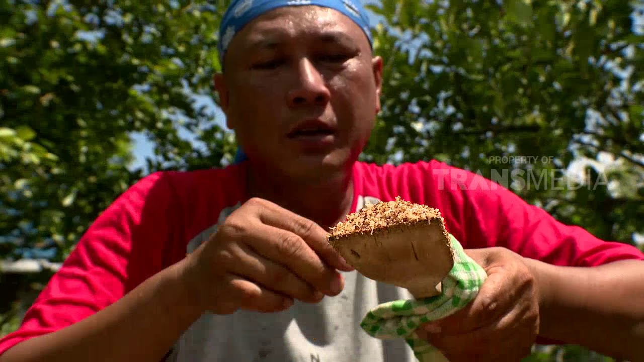BUBUR PADDAS | JEJAK SI GUNDUL (9/11/17) 3 - 2