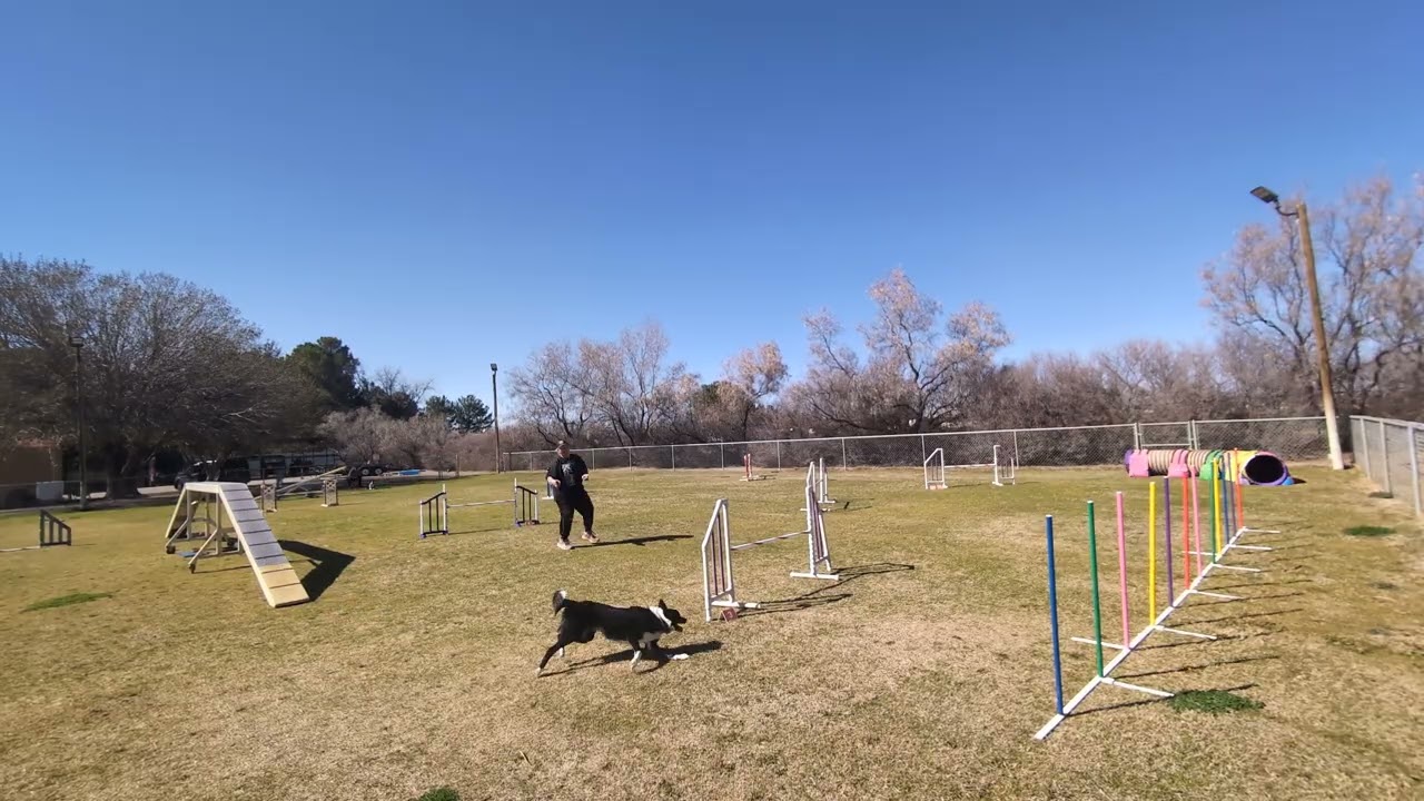 Rey agility 1 on 2/20/26