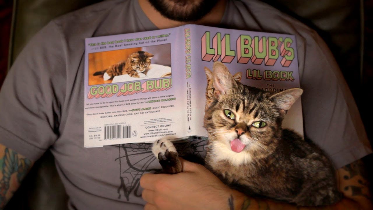 BUB WROTE A BOOK