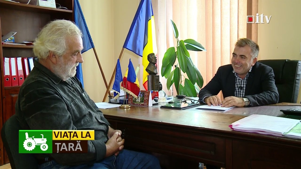 VIAȚA LA ȚARĂ MEDIEȘU AURIT