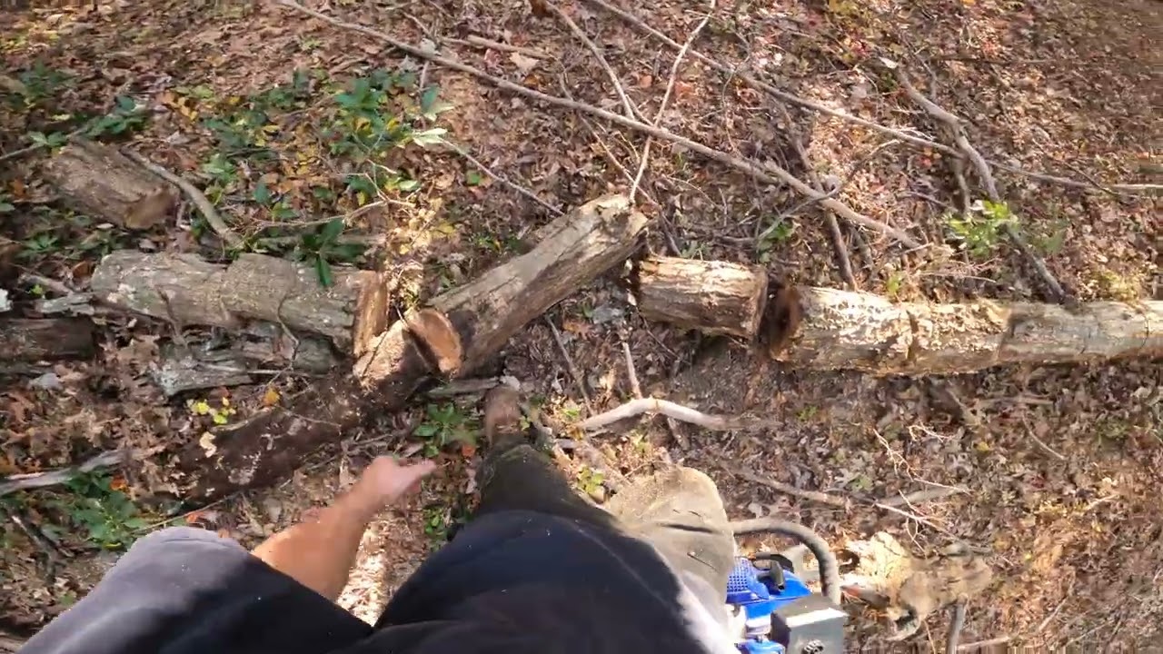 Ported Farmertec G444 Hybrid Limbing and Bucking Red Oak