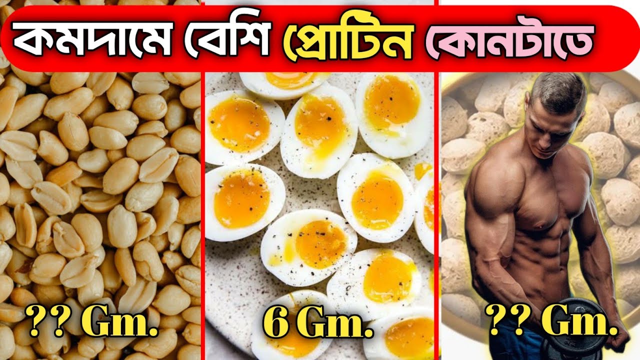 সবচেয়ে বেশি Protein  থাকে কোন খাবারে High Protein Food