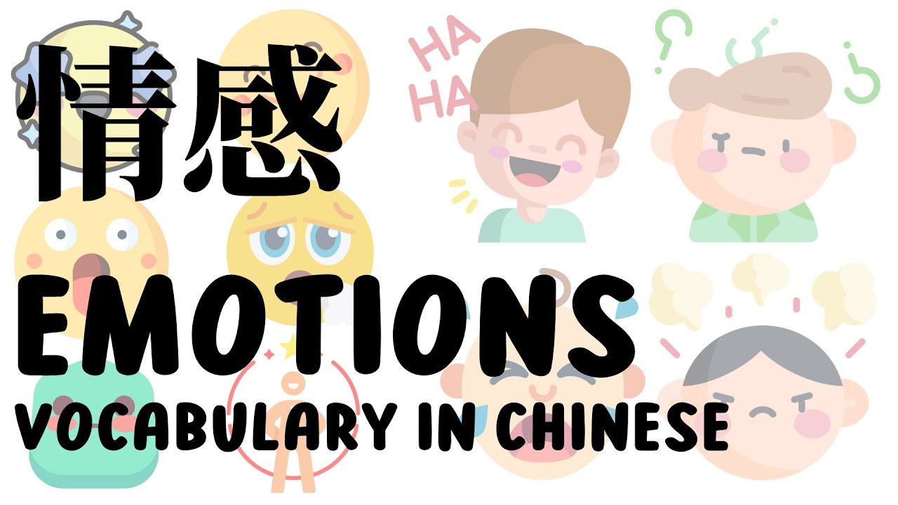 Emotions  Vocabulary | Emotions in Chinese with Picture | Learn Chinese | 情感 | 中文词汇