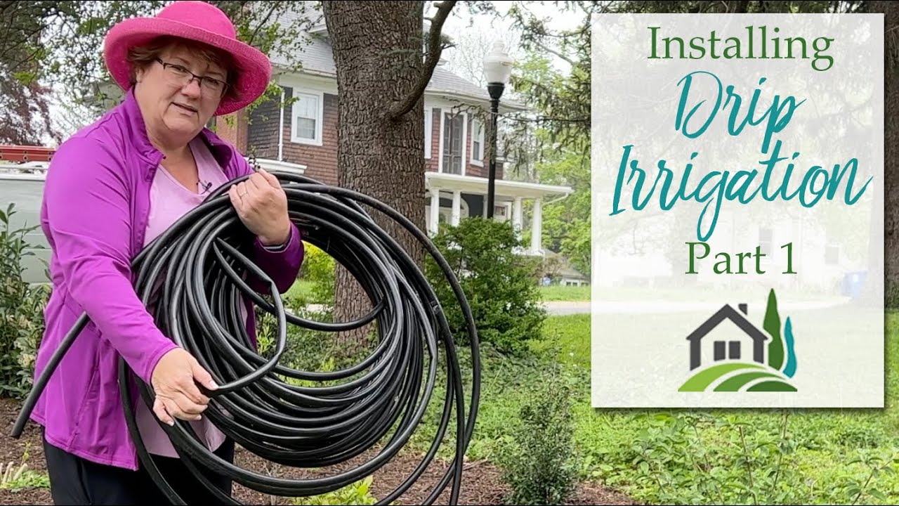 Installing Drip Irrigation Part 1- 💦🌸💦