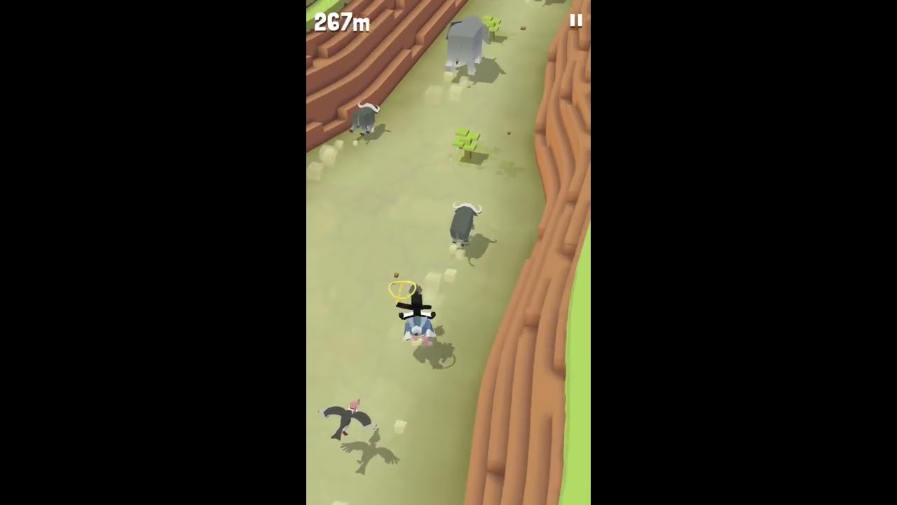 Rodeo Stampede | Riding TWELVE Zebras in a Row