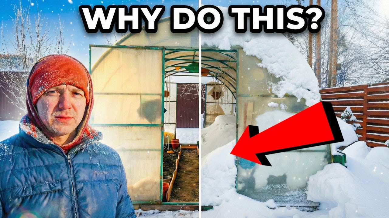 Why I put SNOW inside my Greenhouse at -15°C ❄️ (It's not what you think) [No Talk ASMR]