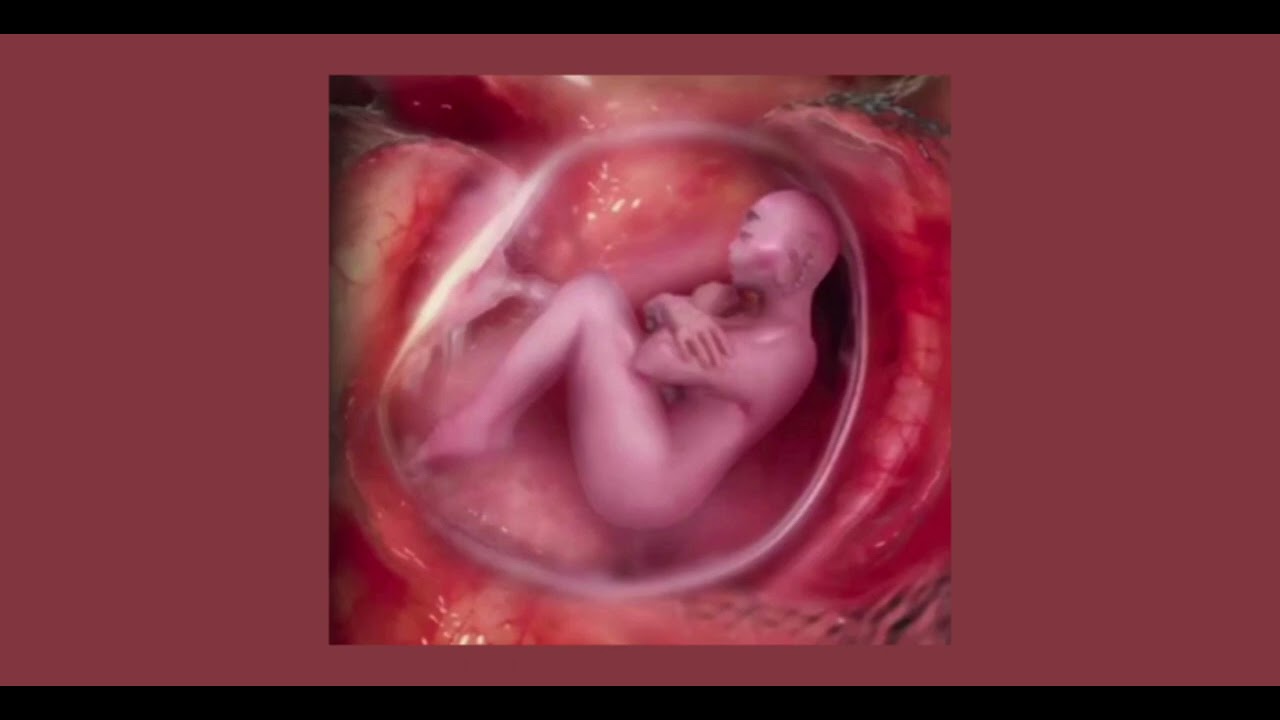 Melanie Martinez- WOMB (sped up)