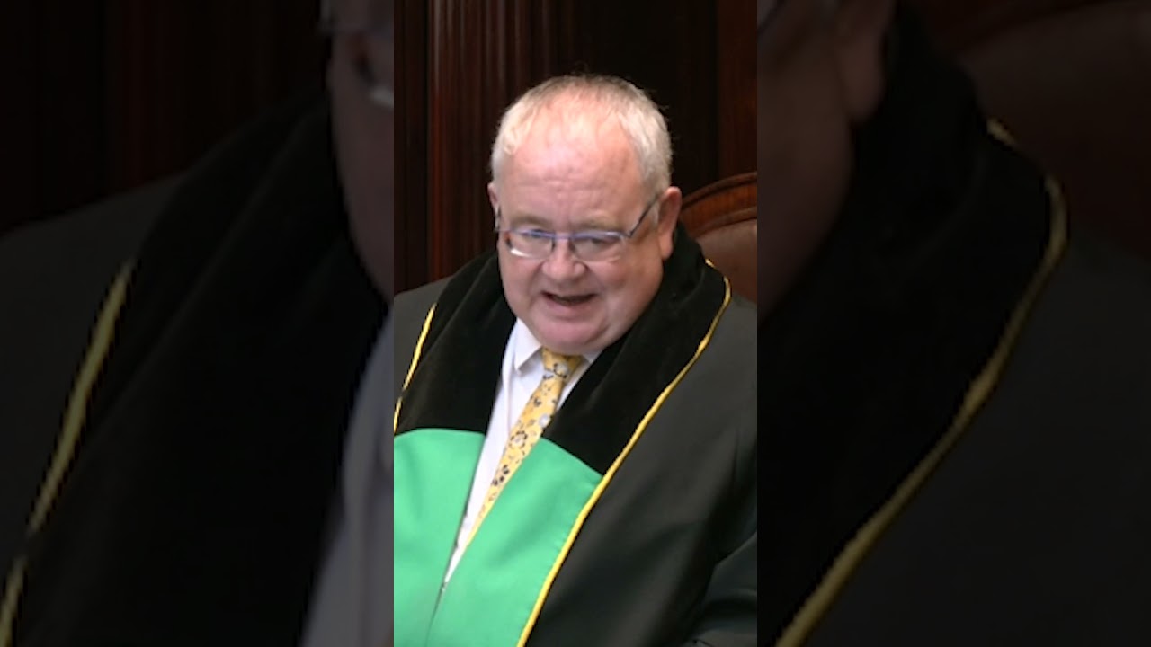 Standing ovation in the D&aacute;il for Limerick soldier attack victim, Natasha O&rsquo;Brien