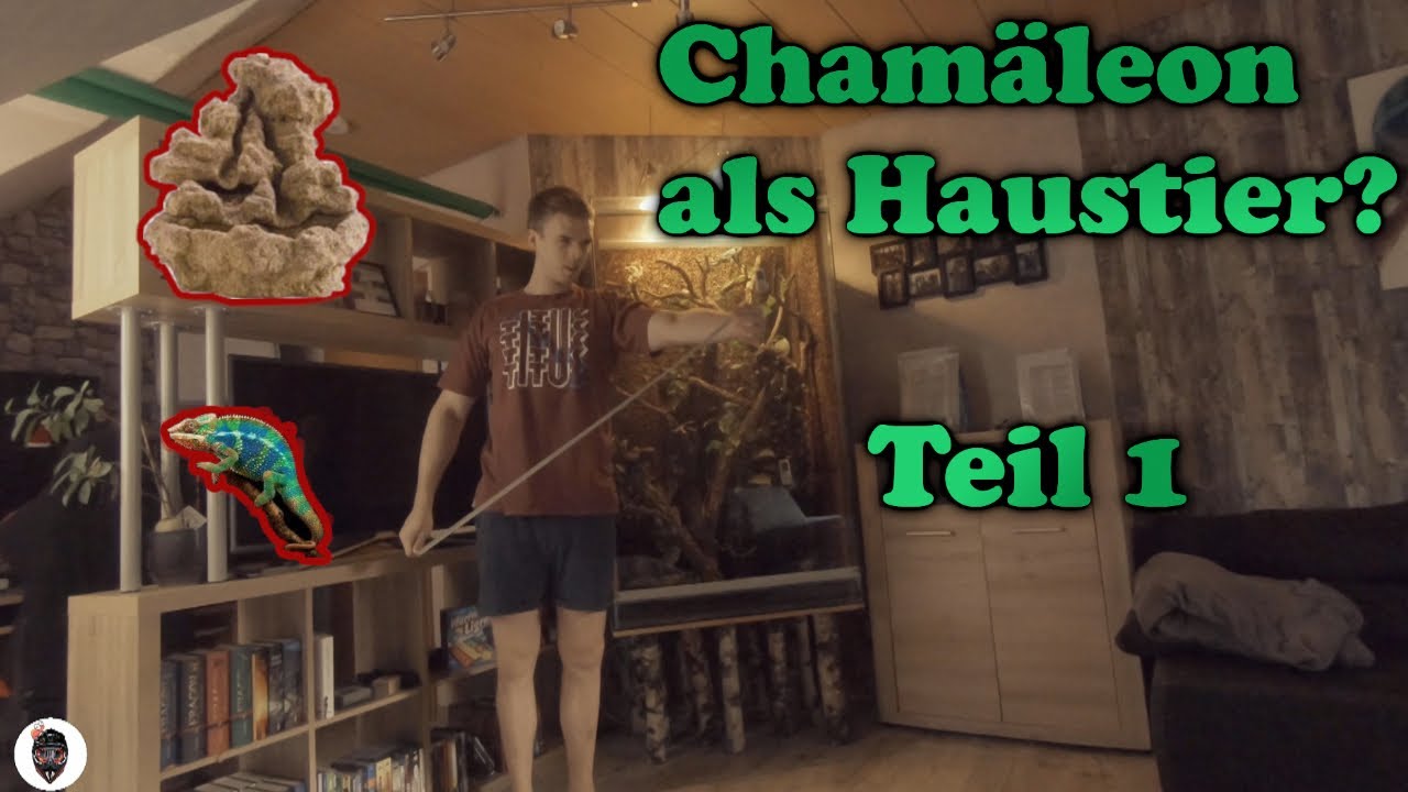Was brauch ein CHAMÄLEON?