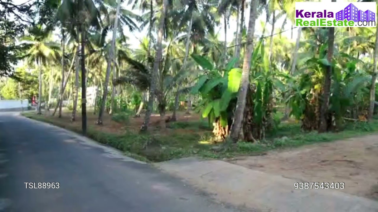 85 Cents of Commercial cum Residential Land for Sale at Pavaratty, Thrissur