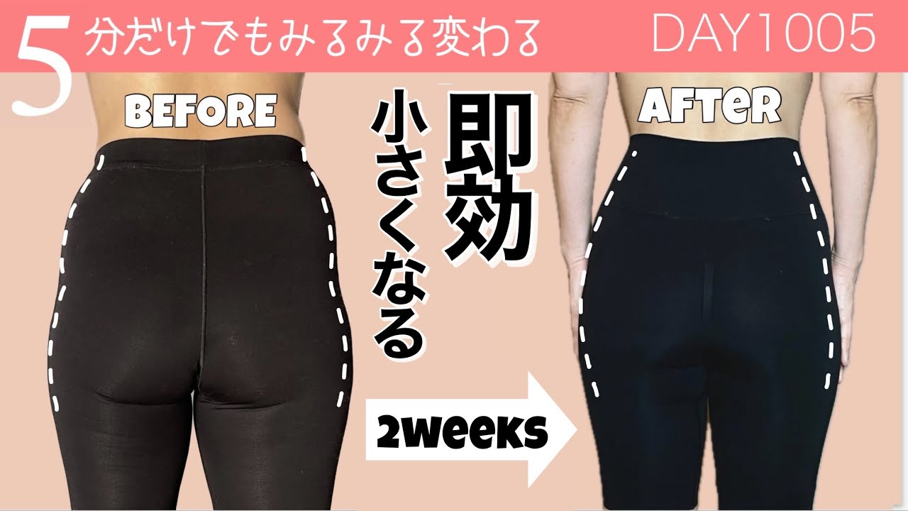 【お尻ダイエット】2週間で効率よく大きいお尻を小さくするエクササイズ  毎日投稿1005日目｜Hip Dips Workout ｜No Standing