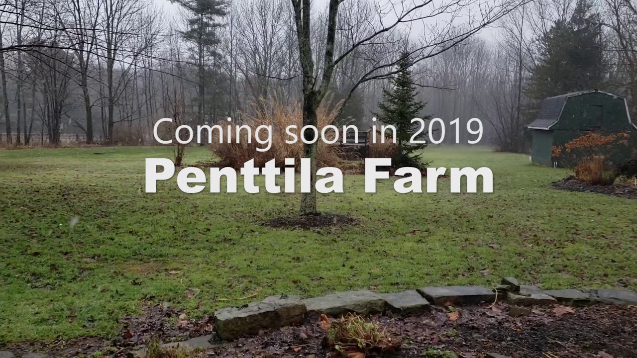 Penttila Farm 2019 Teaser