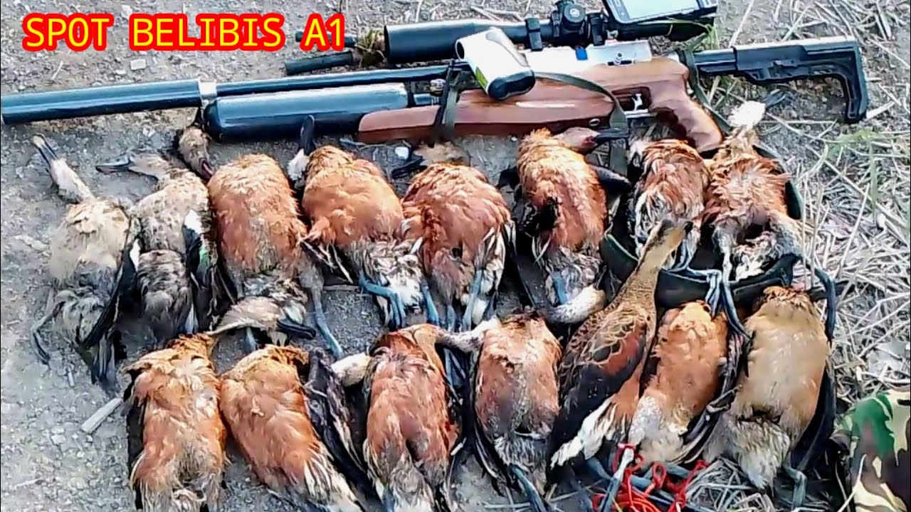 Hunting 