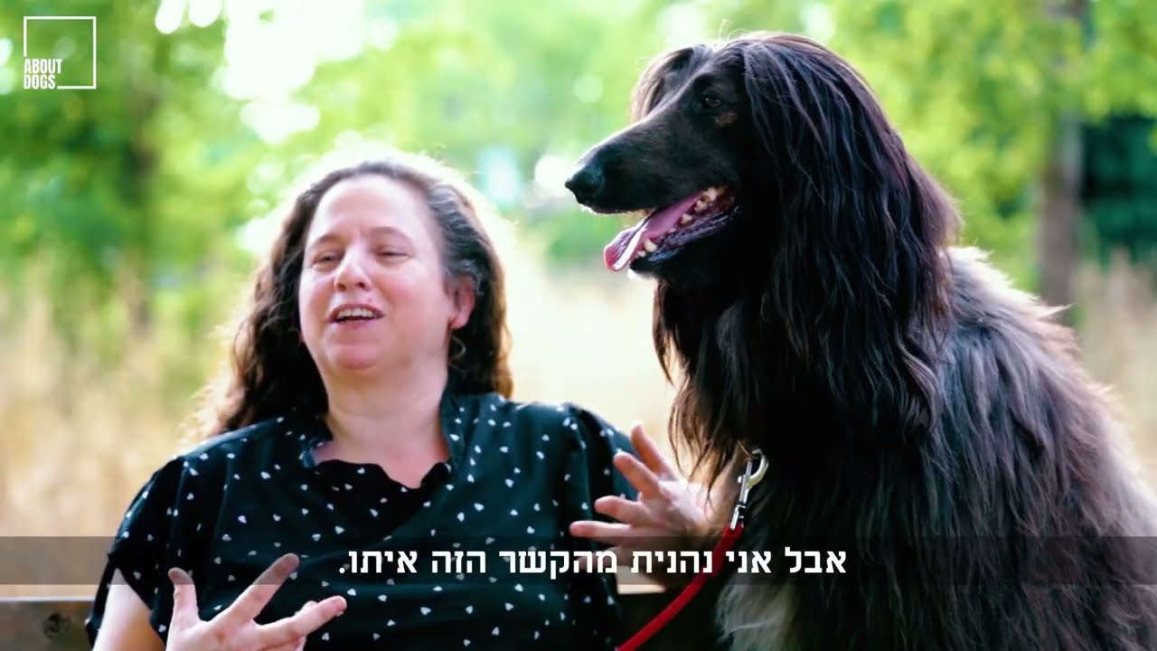 הכלב שלי יודע שאני לא שומעת  סיפור מרגש