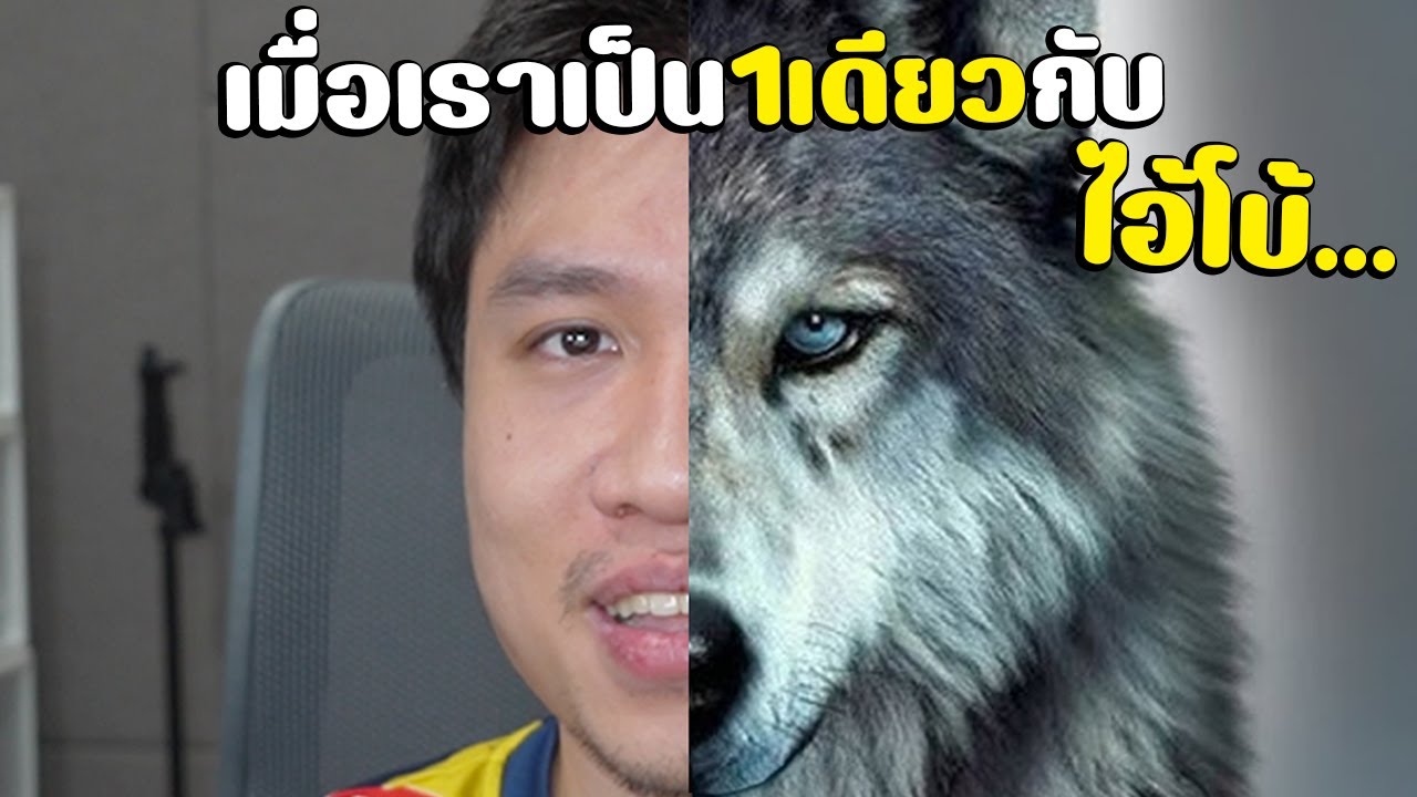 ผมไม่ได้เบียว! แค่เป็น1เดียวกับหมาป่า(ไอ้โบ้) #มีมฮาพังสมอง