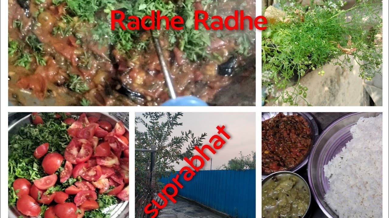 Indian mom daily morning 🌅 walk breakfast puja 🙏🏻 lunch and dinner with jhadu pochha morning routine