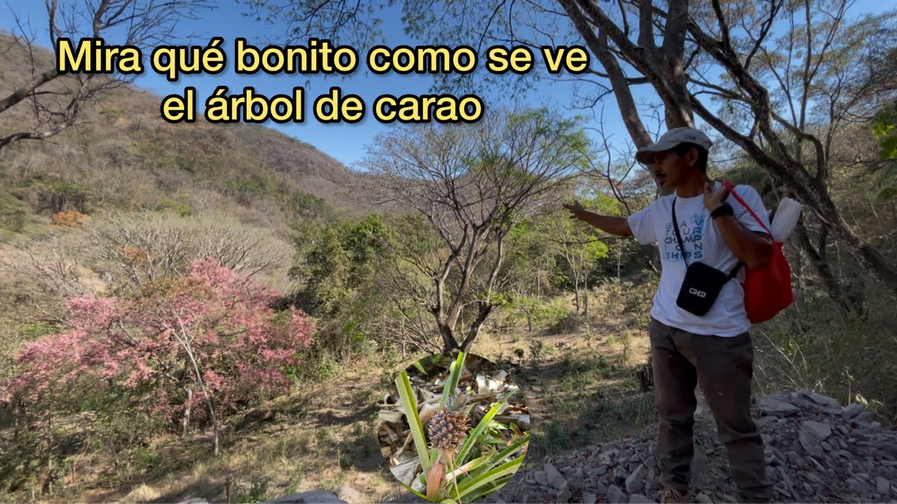 Nos fuimos caminando hacia el terreno y mira como están las calles Parte 1