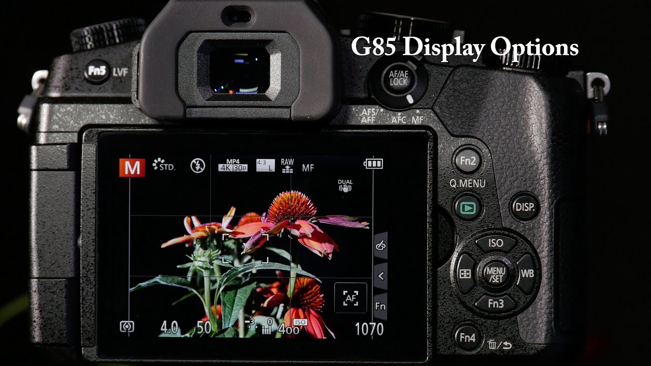 Panasonic LUMIX DMC-G85 Display Button