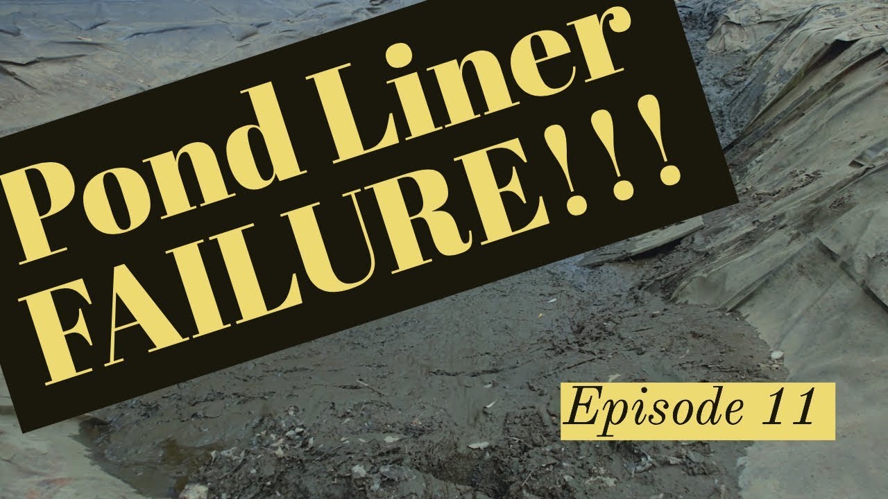 Pond Liner FAILURE!!!