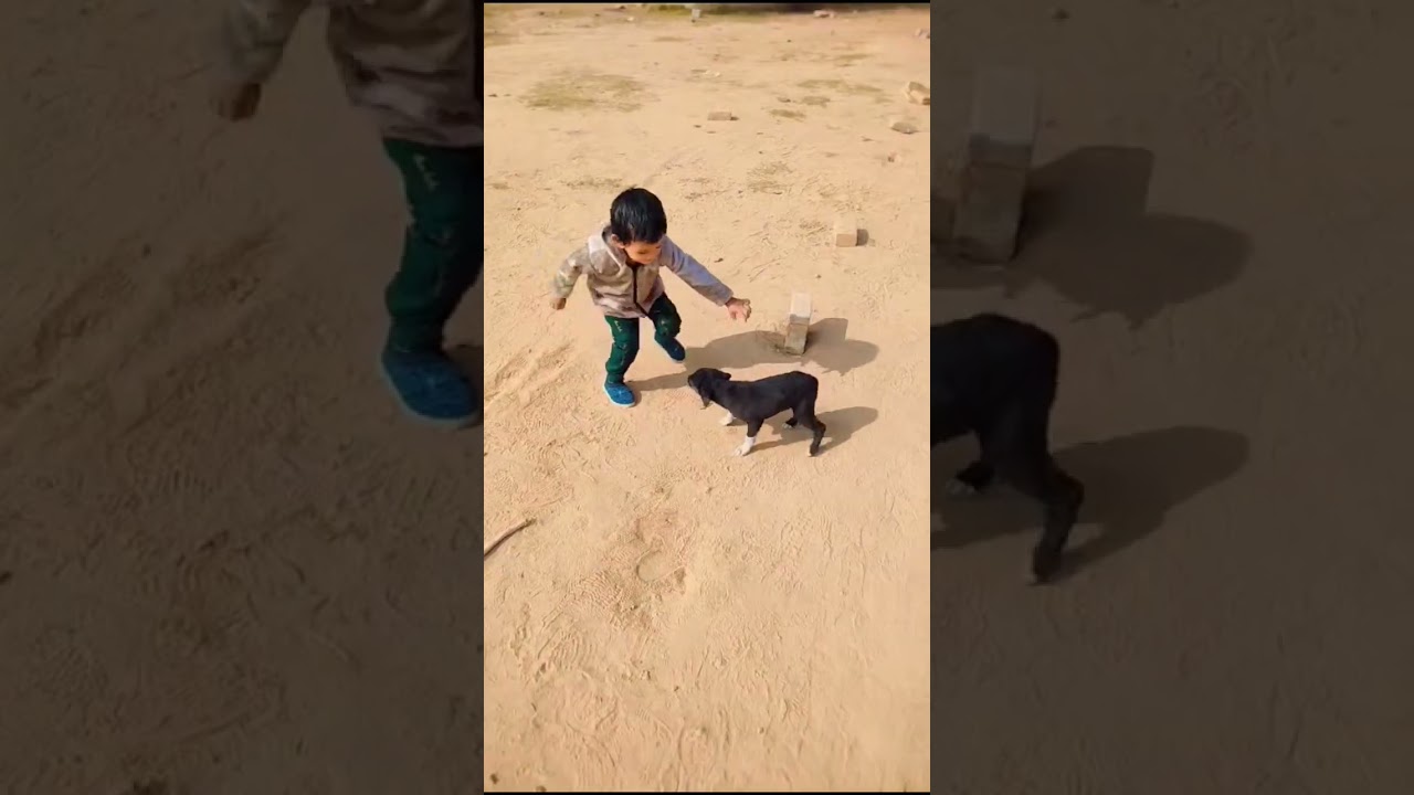 aaru ko doggy ke saath khelna hai 🥰😍 #funny #comedy #new #trending #viralvideo #shortvideo #youtube
