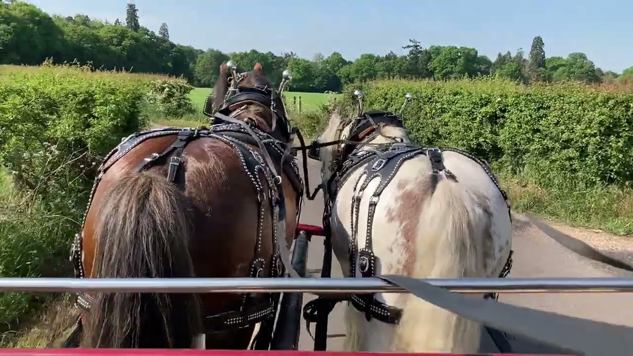 Prepping for a Wedding - with Harvey and Lenny