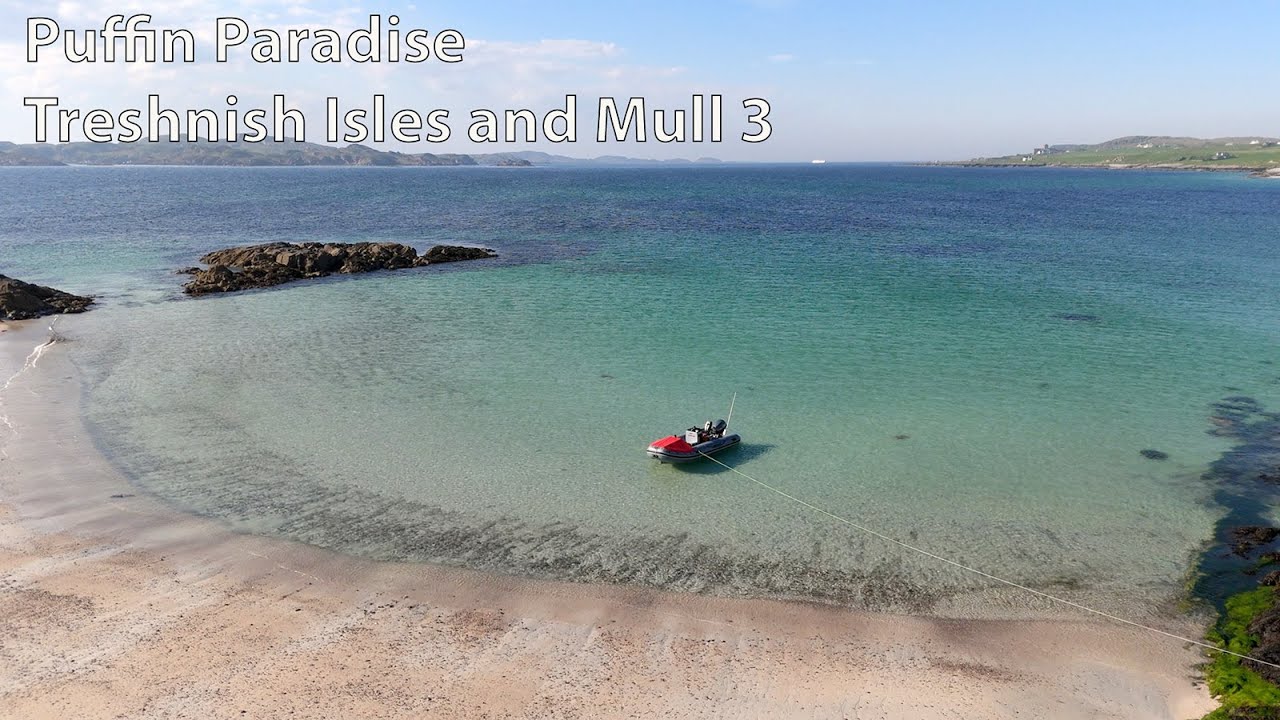 Puffin Paradise ... Treshnish Isles and Mull 3