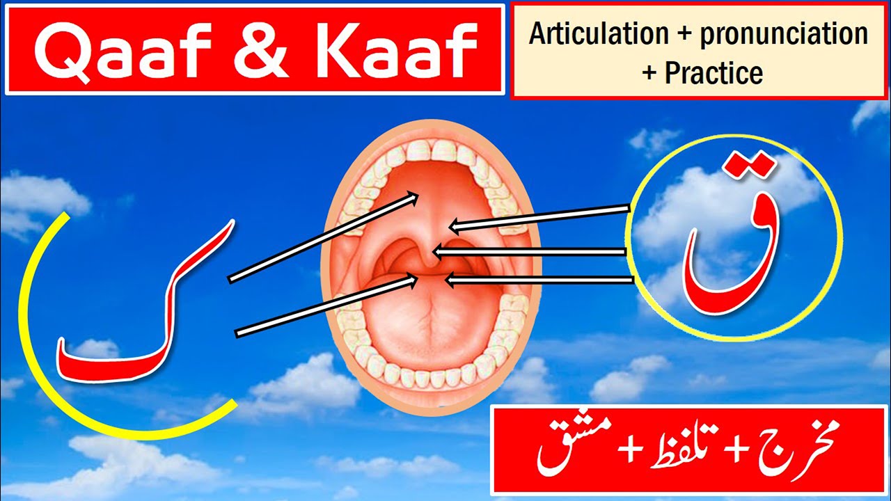 Pronunciation of Qaf and  Kaf letters | Makhraj of Qaf and kaf letters |  Tajweed for beginners