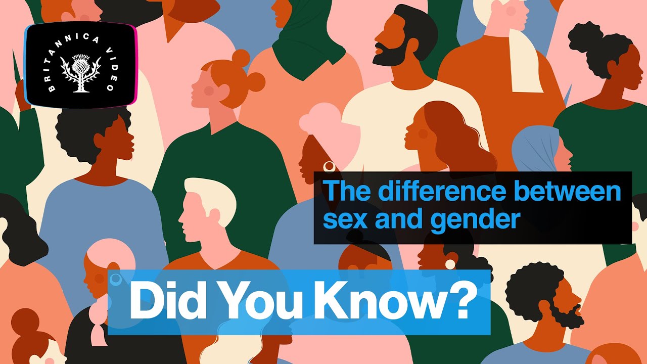 Did You Know: The difference between sex and gender | Encyclopaedia Britannica