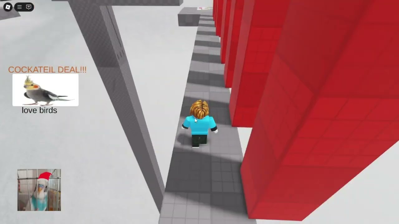 holly jolly buluts christmas obby walkthrough 0-13 no commentary
