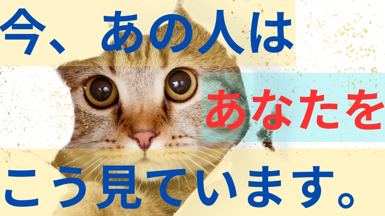 今あの人はあなたの事をこんな風に見ています。激白❤️‍🔥恋愛タロット占い ルノルマン オラクルカード 個人鑑定級に深掘り 細密リーディング