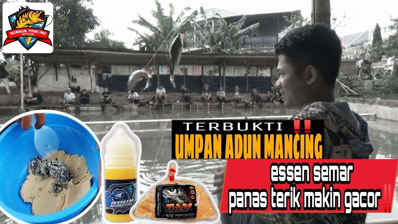 🔴TERBUKTI‼️UMPAN AMIS KUNING PREMIUM PLUS ESSEN SEMAR MEMANG T.O.P BGT