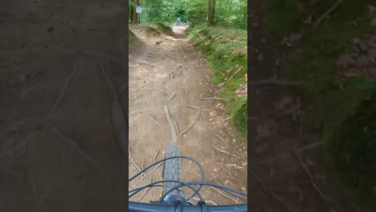 Hexentrail Freiburg #mtb #bike #enduromtb #mountainbike #mtblife