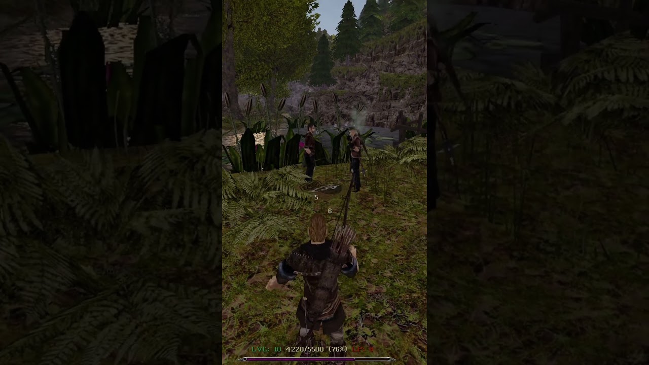 CIEKAWOSTKA o paleniu w GOTHIC: Kroniki Myrtany #gothic #kronikimyrtany #gaming