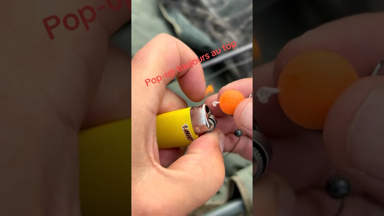 Top Popup for carp . #carpfishing #carpiste #fishing #mack2 #fish #carp #popup #carp #carpi