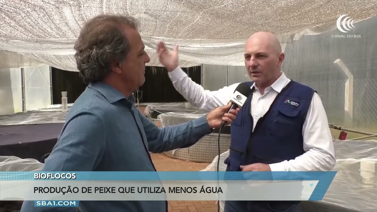 Bioflocos: produção de peixe que utiliza menos água