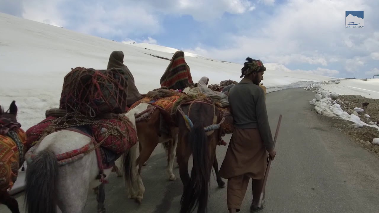 WATCH: Sinthan Top and Daksum - Two relatively under-explored but breathtaking locations.