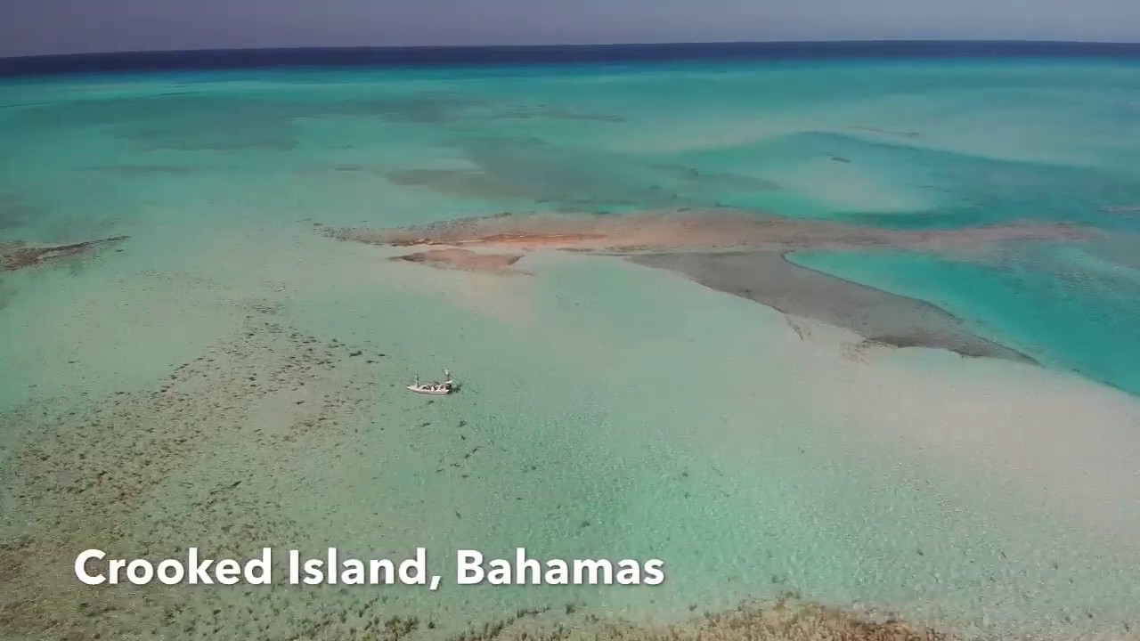 Crooked Island Bonefishing Adventures