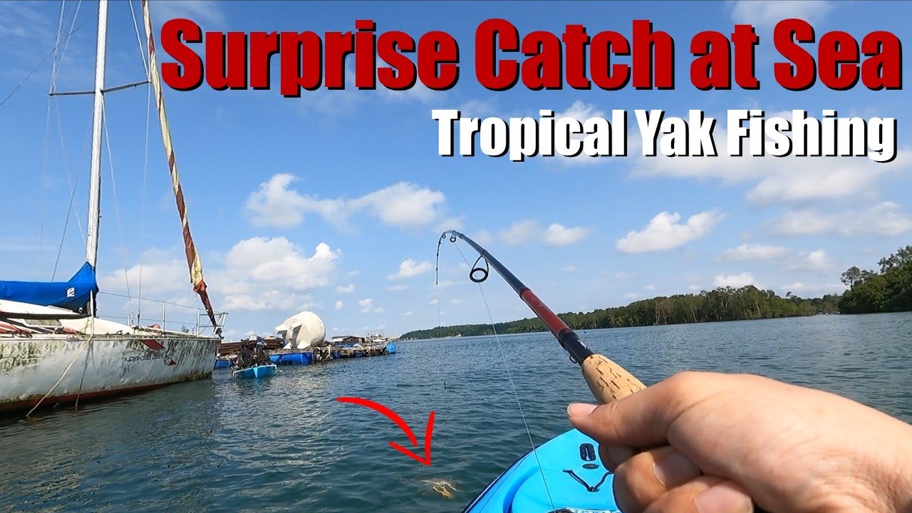 Kayak Fishing in Singapore: Great Fish Fight on Hobie Outback