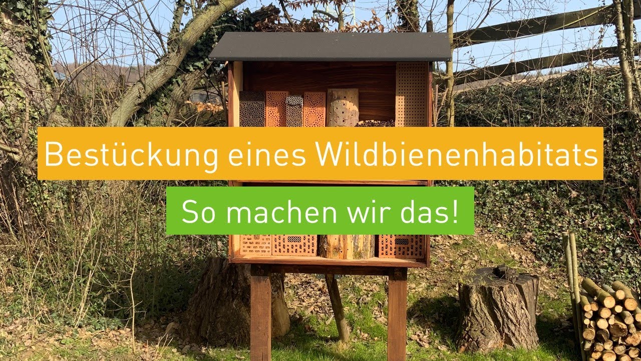 Bestückung eines Wildbienenhabitats - so machen wir das!