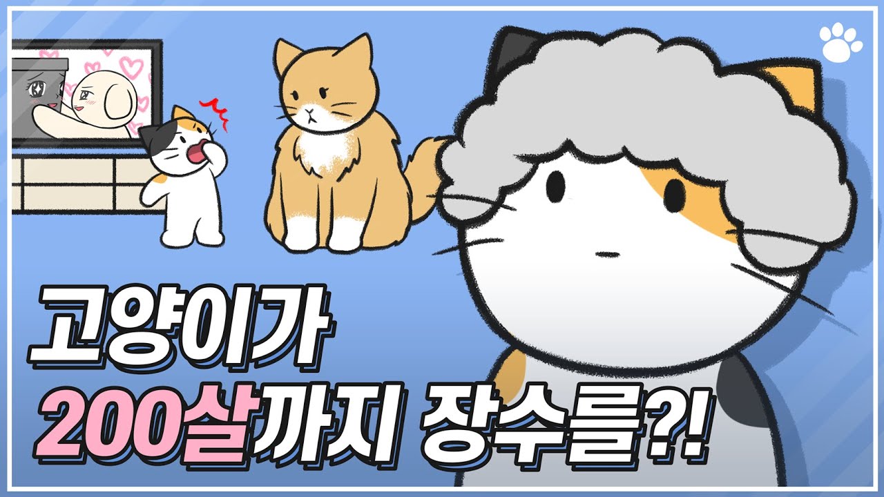 우리 고양이는 사람 나이로 몇 살?ㅣ삼색이가 200살까지 장수한 비법