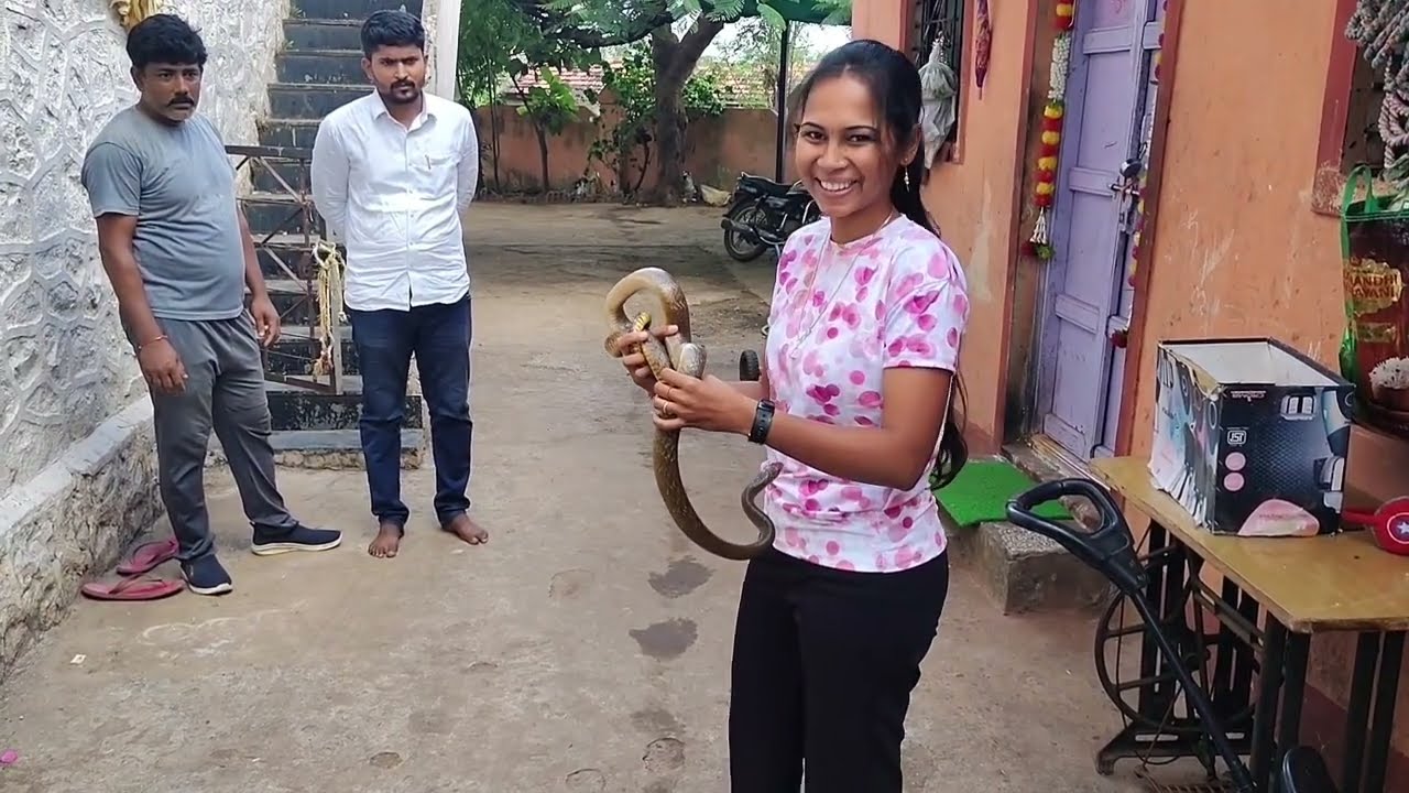 श्रद्धा चे जबरदस्त साप रेस्क्यू! सापाला पाहताच काळजात धस्स होते!