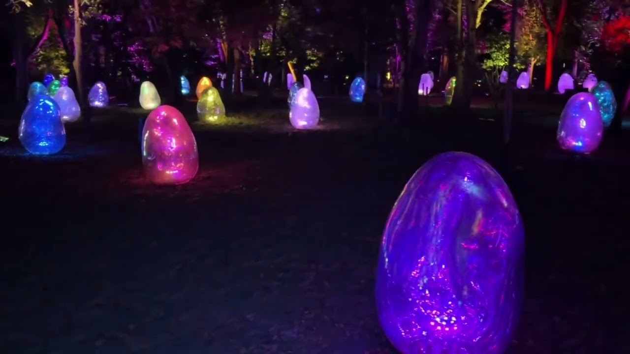 長居植物園--夜間光影展