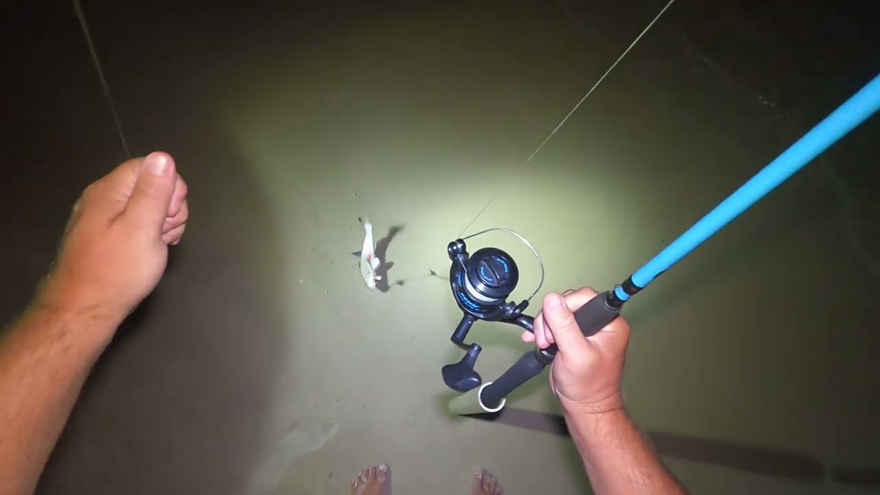 Surf Fishing on Vacation! Relax, Cast, Repeat!!