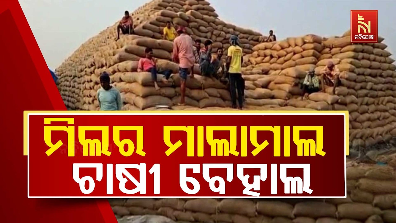 ମିଲର ମାଲାମାଲ । ଚାଷୀ ବେହାଲ । ସୋସାଇଟି ସେକ୍ରେଟାରୀ ଓ ମିଲରଙ୍କ ମଧୁଚନ୍ଦ୍ରିକାରେ ଚାଲିଛି ଧାନ କିଣାବିକା