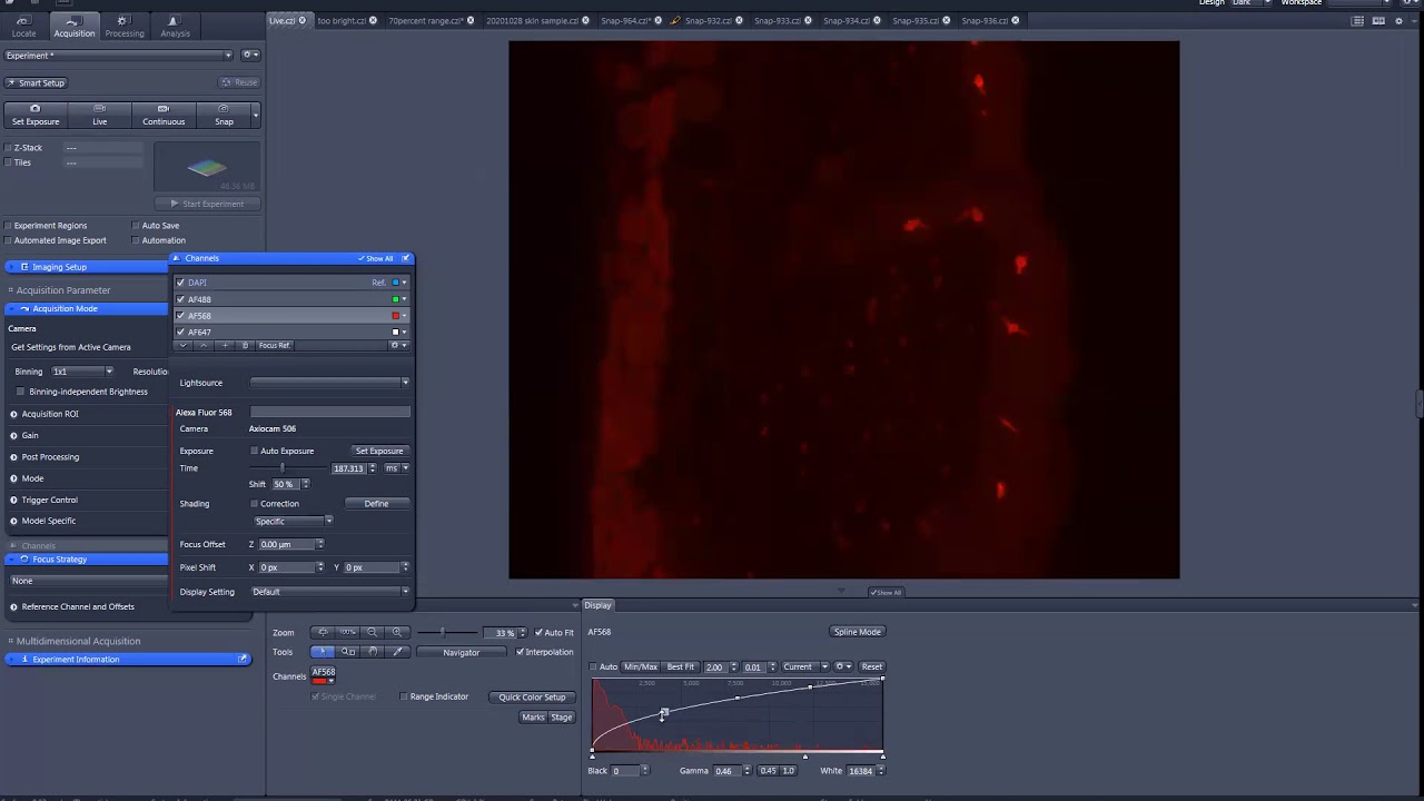 Do not bleach fluorescence microscopy samples