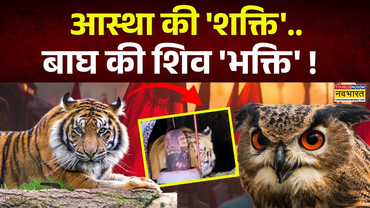 Ancient Shivling News: उल्लू का दिखना शुभ या अशुभ... क्या है रहस्य ? | Sanatan Dharm | Hindi News