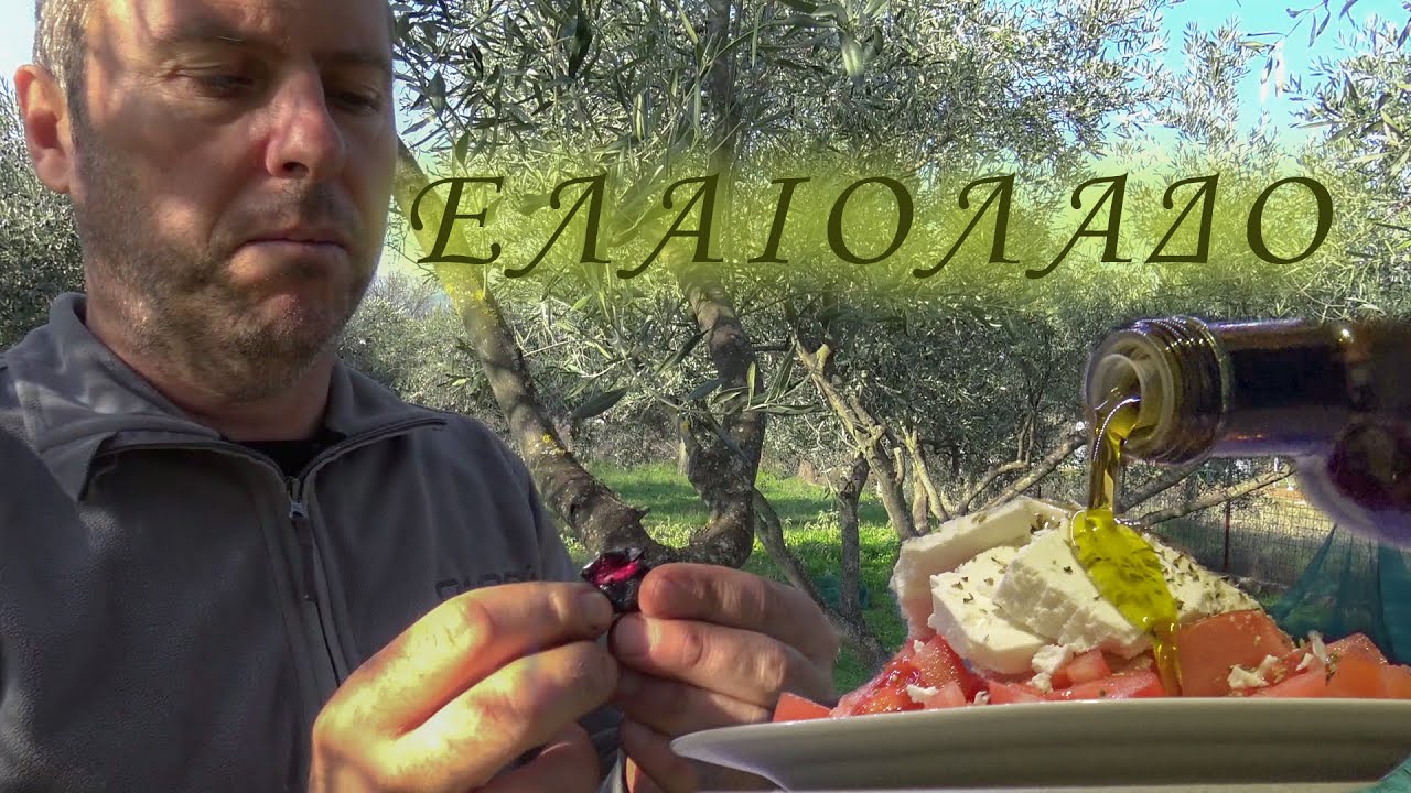 Το μάζεμα της ελιάς μέχρι το ελαιοτριβείο. Η παραγωγή του ελαιόλαδου.