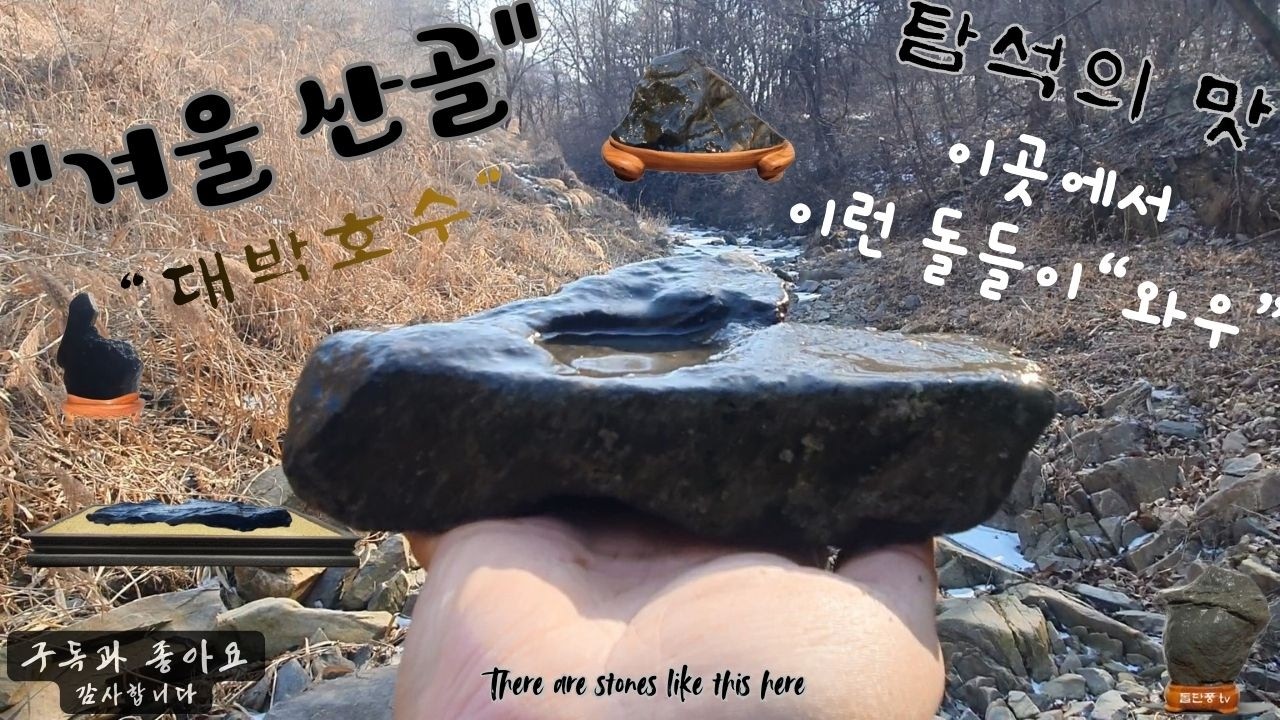 괴산 산골탐석#Goesan Mountain Torniths#x탐석기행#수석취미#괴산대덕#토중석#변화석#힘줄석#뽈록이#돌단풍tv