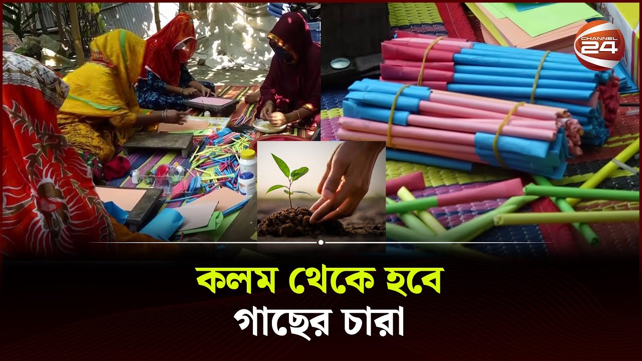 কাগজের তৈরি কলম মাটিতে পুঁতলেই হবে গাছ! | Green Pen | Kurigram News | Channel 24